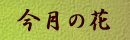̉