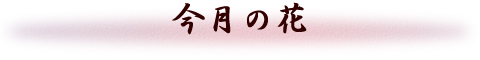 ̉
