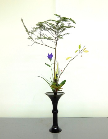 �摜���N���b�N���Ă�������