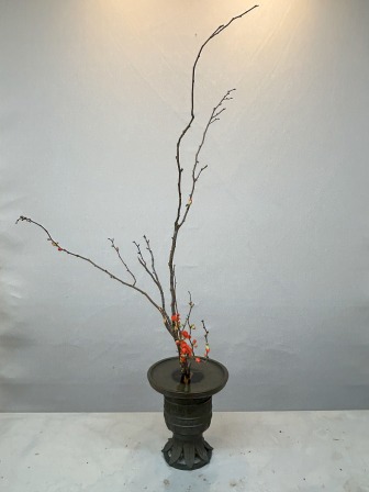 �摜���N���b�N���Ă�������