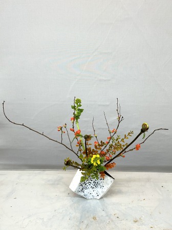 �摜���N���b�N���Ă�������